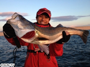 四季の釣り【日本海でジギング絶好調!タチウオとサワラを狙え!】